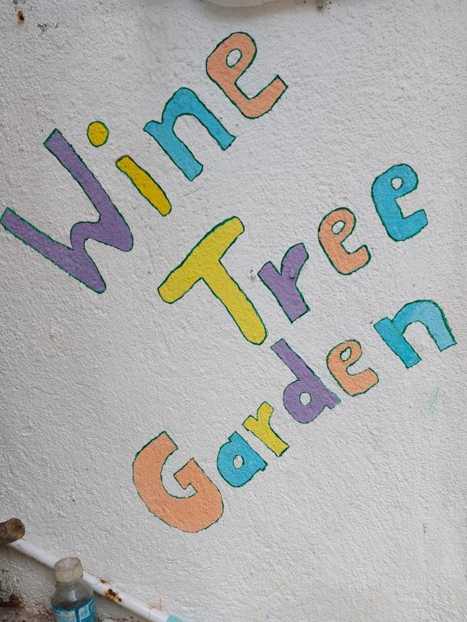 Wine Tree Garden Guesthouse Mirissa Exteriér fotografie